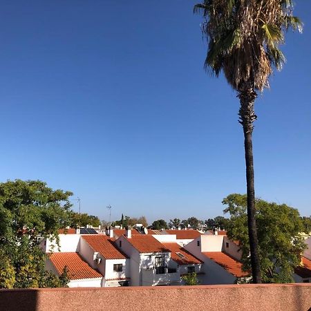 Familia Anfitriona Acoge Terraza Lejlighed Sevilla Eksteriør billede